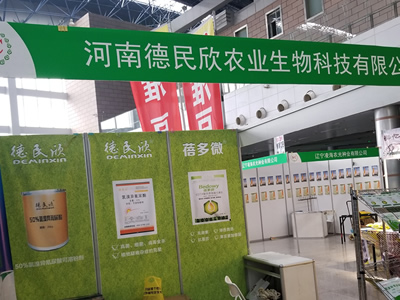 客戶見證
